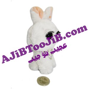 خرگوش های چشم جذاب
