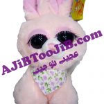 خرگوش های چشم جذاب