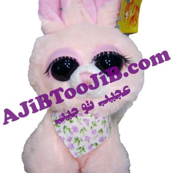 خرگوش های چشم جذاب