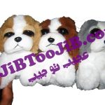 سگ های چشم جذاب