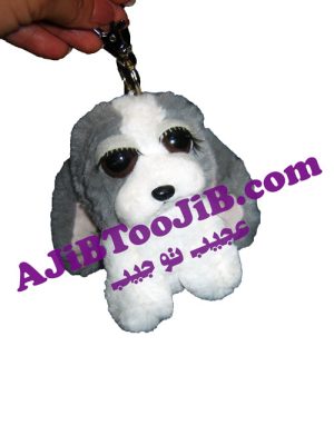 سگ های چشم جذاب