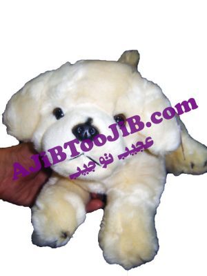 سگ ملوس ناز