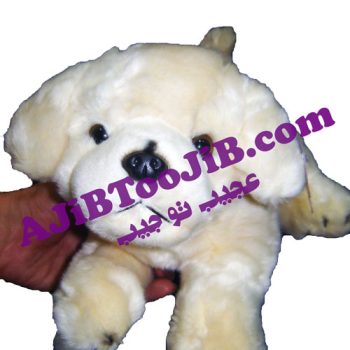 سگ ملوس ناز