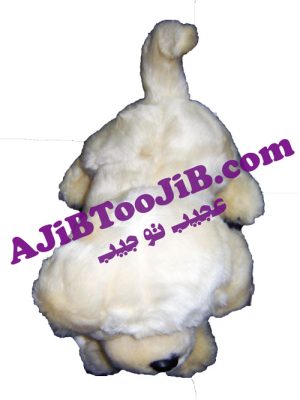 سگ ملوس ناز