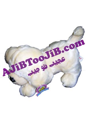 سگ ملوس ناز