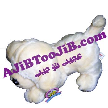 سگ ملوس ناز