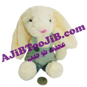 خرگوش های دختر و پسرجلی کت