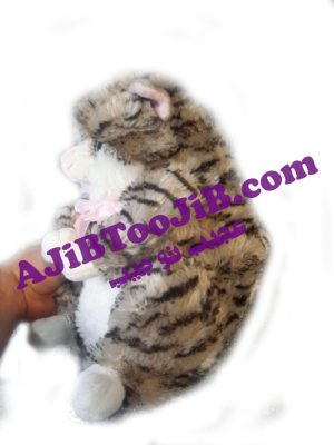 Doll fat cute cat musicall