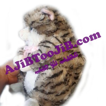 Doll fat cute cat musicall