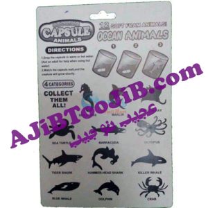 Growing capsule animals