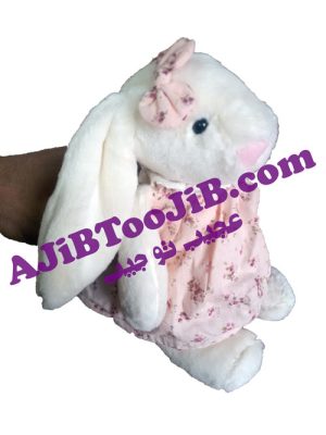 خرگوش دختر جیلی کت