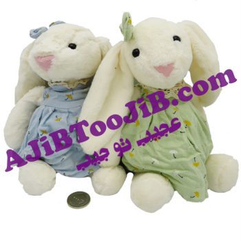 خرگوش جلی کت دختر لباس گلی کوچک