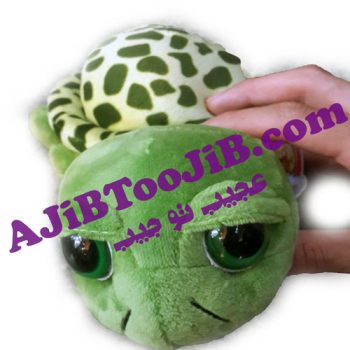 لاک پشت کوچک بی نوا