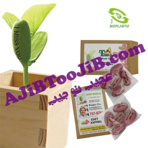 لوبیای سحرآمیز