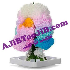 درخت کاج سحرآمیز