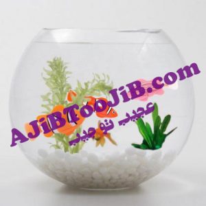 ماهی رباتیک هوشمند