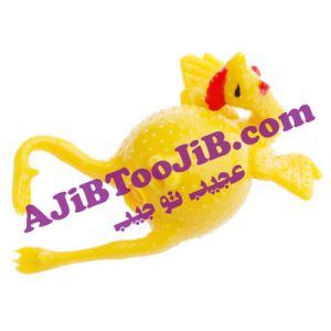 مرغ ژله ای تخمگذار - Image 3