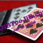 پرواز نقش پاسور