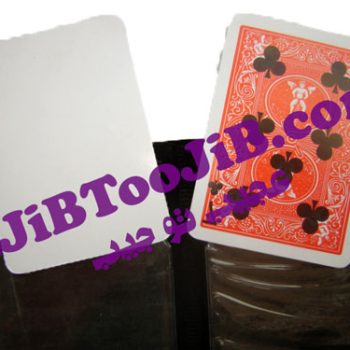 پرواز نقش پاسور