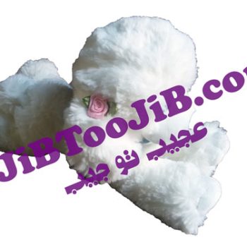 Doll cute hairy dog large