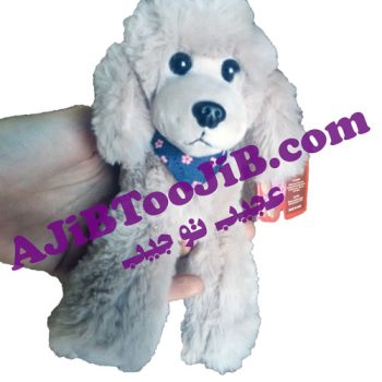 سگ پشمالوی راس