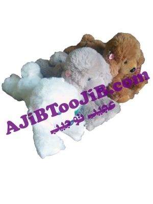 سگ پشمالوی راس