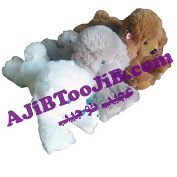 سگ پشمالوی راس