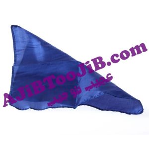 سکه غیب کن حرفه ای