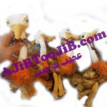 شترمرغ طبیعی صدادار (کیفیت عالی)