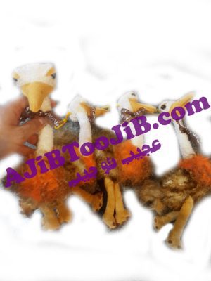 شترمرغ طبیعی صدادار (کیفیت عالی)