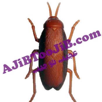 سوسک رباتیک