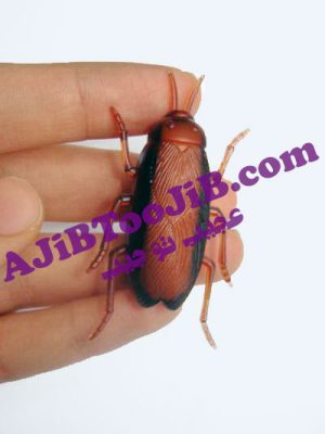 سوسک رباتیک (راه رونده) - Image 4