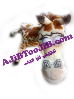 زرافه ماداگاسکار