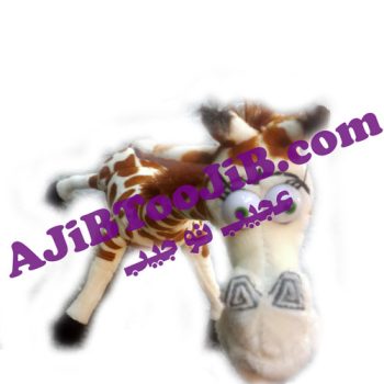 زرافه ماداگاسکار