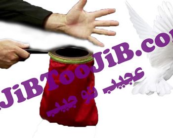 کیسه ظاهر شدن کبوتر (سطح حرفه ای)