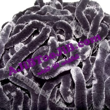 عنکبوت پشمی هالووین