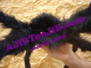 Halloween Woolly spider Velvet warp