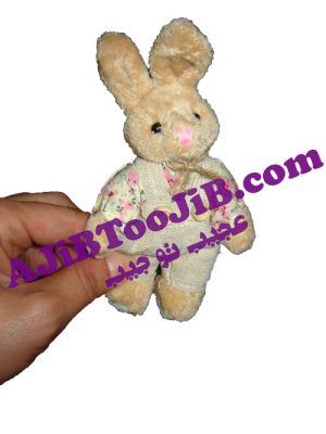 جاسوئیچی خرس و خرگوش دختر پسر ( Teddy )