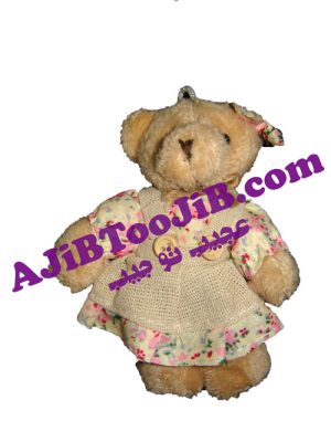 جاسوئیچی خرس و خرگوش دختر پسر ( Teddy )
