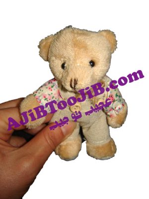 جاسوئیچی خرس و خرگوش دختر پسر ( Teddy )