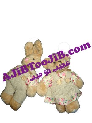 جاسوئیچی خرس و خرگوش دختر پسر ( Teddy )