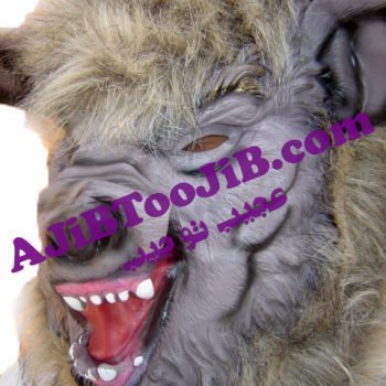 ماسک گرگ وحشی