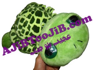 لاک پشت بی نوا (سایز بزرگ)