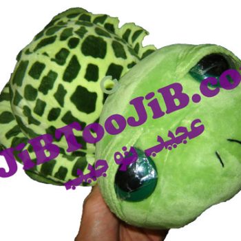 لاک پشت بی نوا (سایز بزرگ)