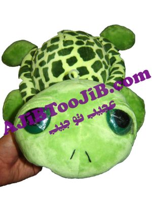 لاک پشت بی نوا (سایز بزرگ)