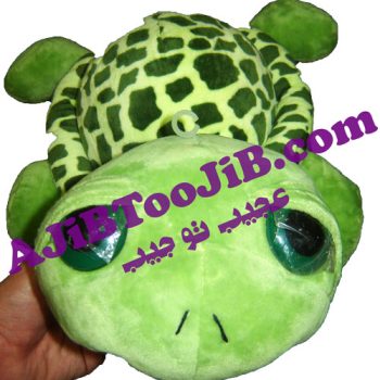 لاک پشت بی نوا (سایز بزرگ)