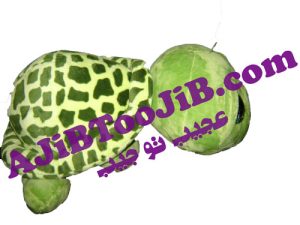 لاک پشت بی نوا (سایز بزرگ)