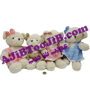 خرس دامن دار تدی اورجینال