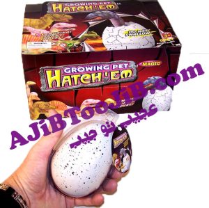 egg growing Dinosaur