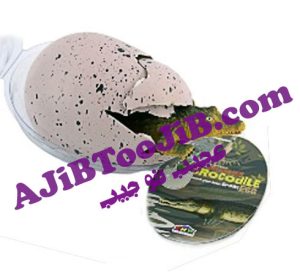 تخم بزرگ شونده دایناسور (غول پیکر)